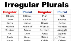 Irregular Plurals Copy