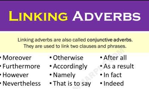 Linking Adverbs: Important List and Examples