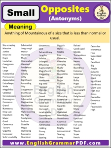 Opposite Of Small, Antonyms of Small, Meaning and Examples in english pdf