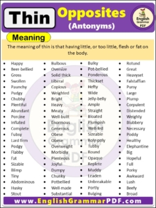 Opposite Of Thin, Antonyms of Thin, Meaning and Examples in english pdf