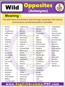 Opposite Of Wild, Antonyms of Wild, Meaning and Examples in english with pdf