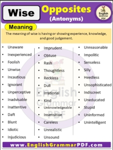 Opposite Of Wise, Antonyms of Wise, Meaning and Examples in english pdf