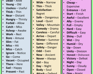 Simple words and opposite, Simple Opposite Words for Kids