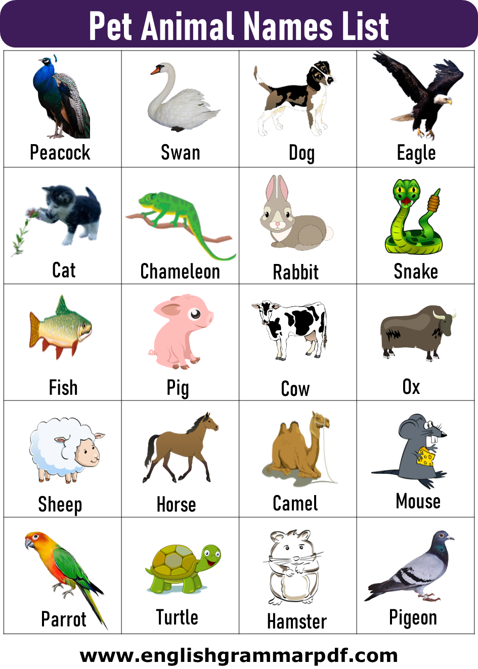 pet animals name