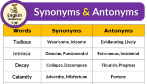 synonyms and antonyms