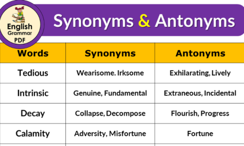 Synonyms and Antonyms in English