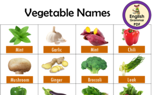 vegatables names in english