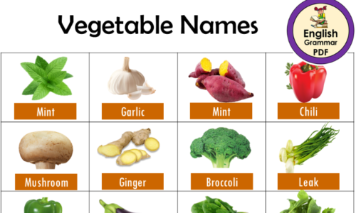 25 Vegetables Names in English (Definitions and Examples)