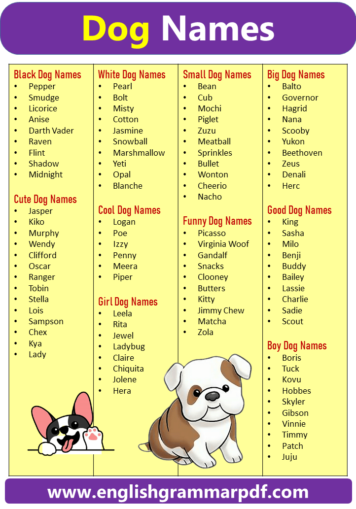 Top 100 Unique Dog Names, Male and Female Dog Names – English Grammar Pdf