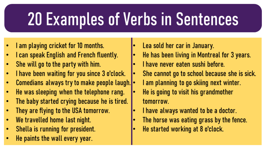20 Examples of Verbs in Sentences