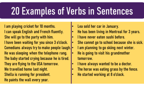 Examples Of Verbs In Sentences English Grammar Pdf