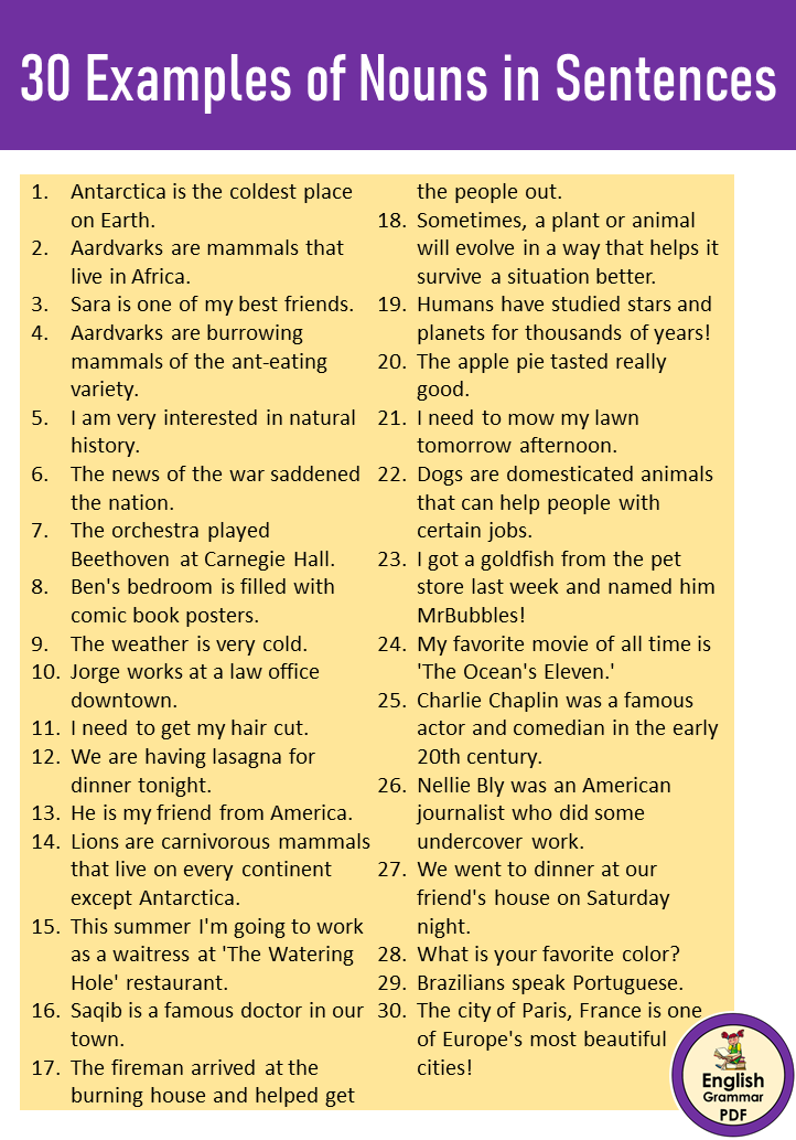 30 Examples of Nouns in Sentences