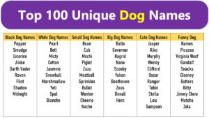 Dog Names