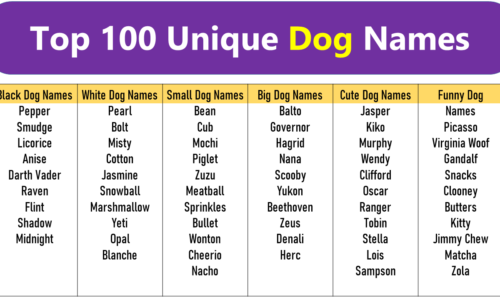 Top 100 Unique Dog Names, Male and Female Dog Names