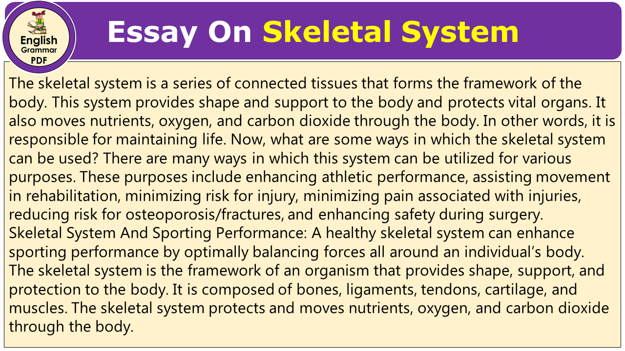 long essay on skeletal system
