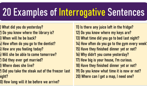 200+ Examples of Interrogative Sentences [Download PDF]