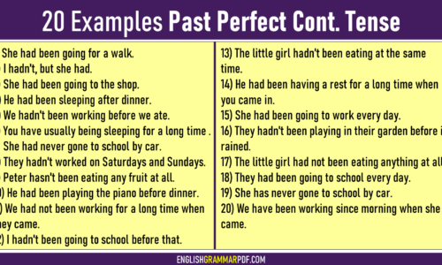 20+ Examples Sentences of Past Perfect Continuous Tense