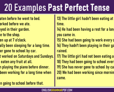 20 Examples of Past Perfect Tense