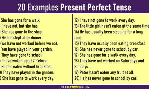 20 Examples of Present Perfect Tense