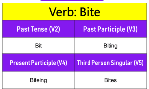 Bite Past Tense, Present and Future Conjugations, Bite V1 V2 V3