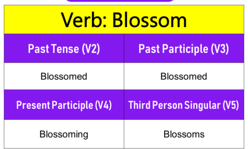 Blossom Past Tense, Present and Future Conjugations, Blossom V1 V2 V3