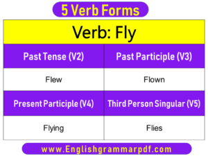 Fly Past Tense Present and Future Conjugations Fly V1 V2 V3