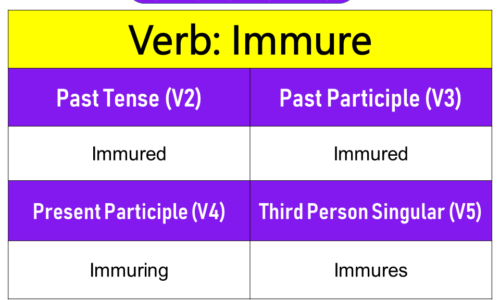 Immure Past Tense, Present and Future Conjugations, Immure V1 V2 V3