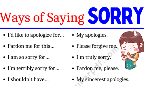 Polite Ways to Say “I am Sorry”