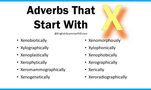 Adverbs That Start With X | List of Adverbs with X