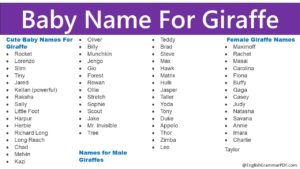 Baby Name For Giraffe