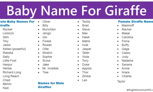 300+ Baby Name For Giraffe, Cute, Famous Giraffe Names