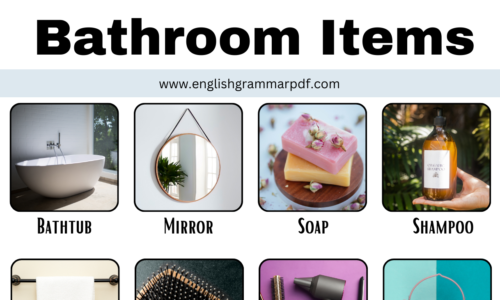 Learn Names of Bathroom Items with ESL Pictures