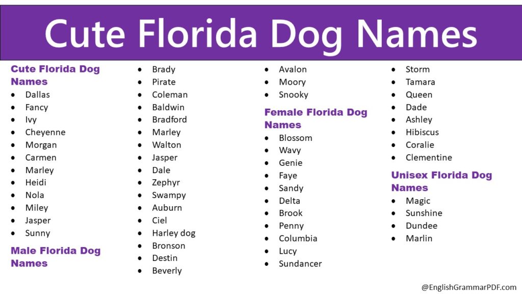 Cute Florida Dog Names