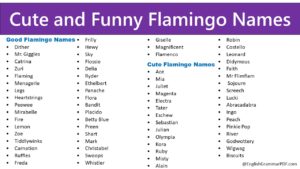 Cute and Funny Flamingo Names