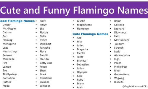 585+ Cute and Funny Flamingo Names