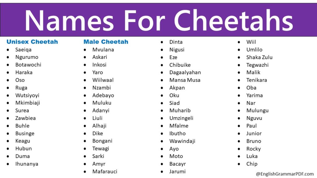Names For Cheetahs