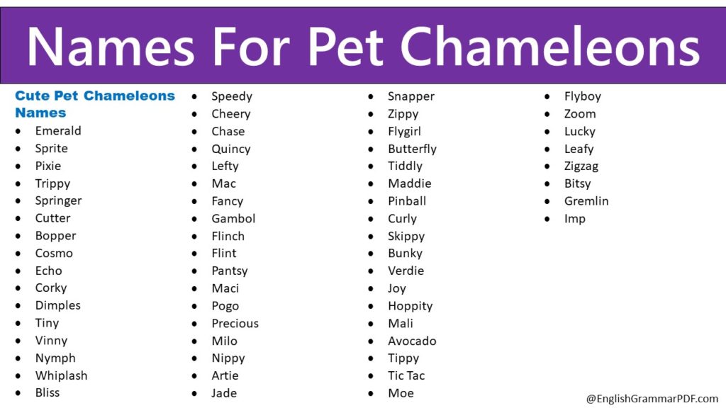 Names For Pet Chameleons