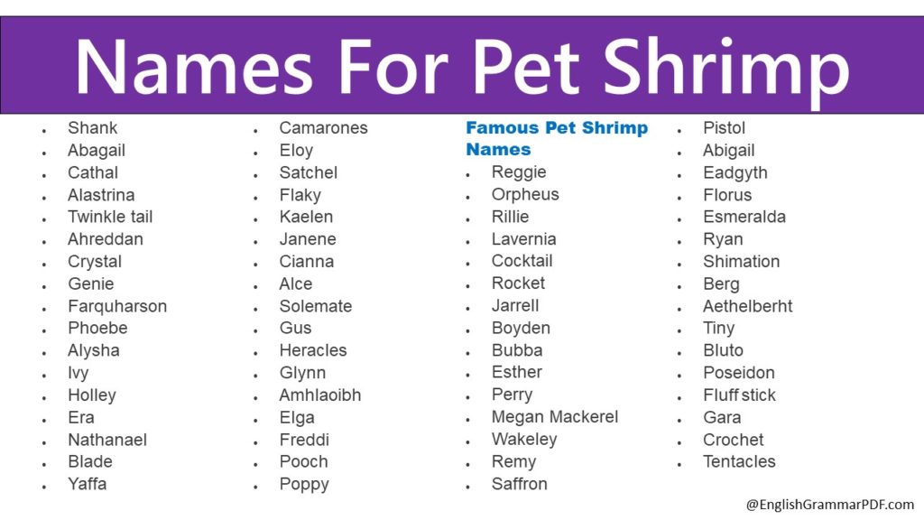 Names For Pet Shrimp