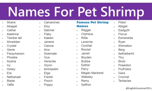 190+ Names For Pet Shrimp- Shrimp Pet Names