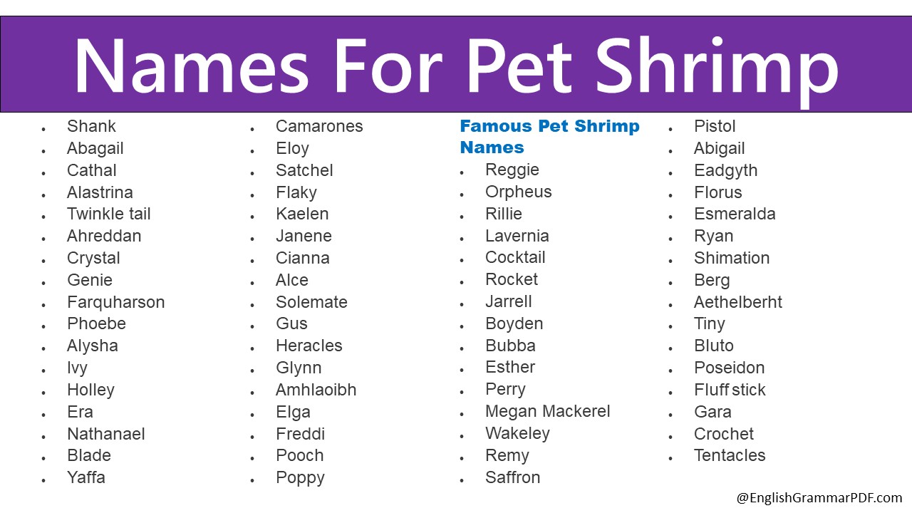 Names For Spotted Dogs - 80+ Male & Female Spotted Dogs - English ...