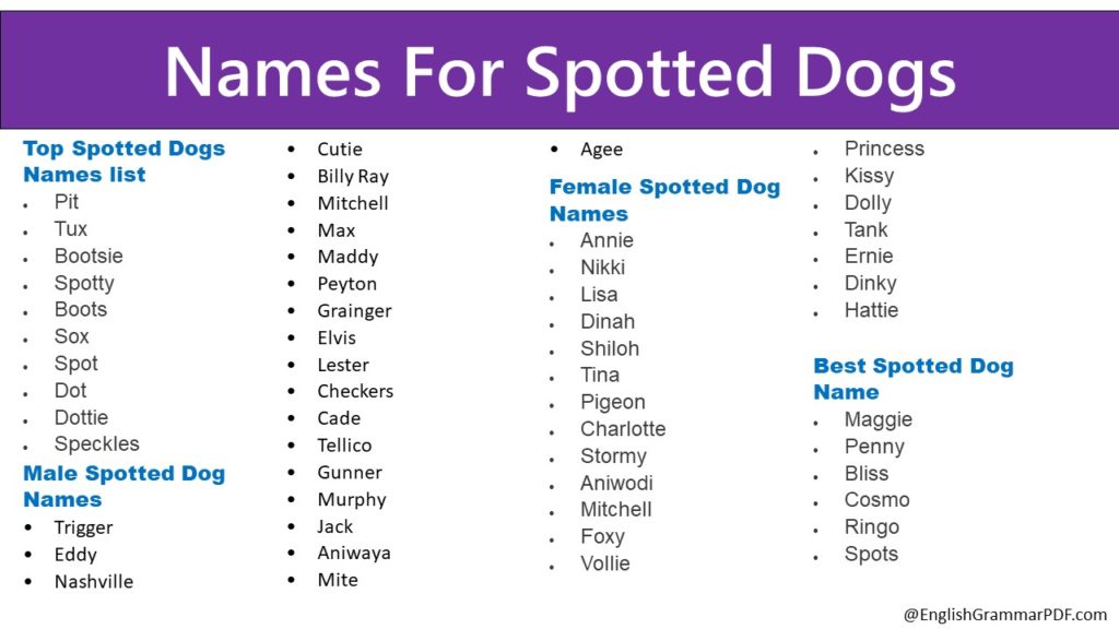 Names For Spotted Dogs