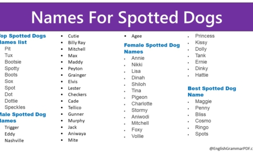 Names For Spotted Dogs – 80+ Male & Female Spotted Dogs