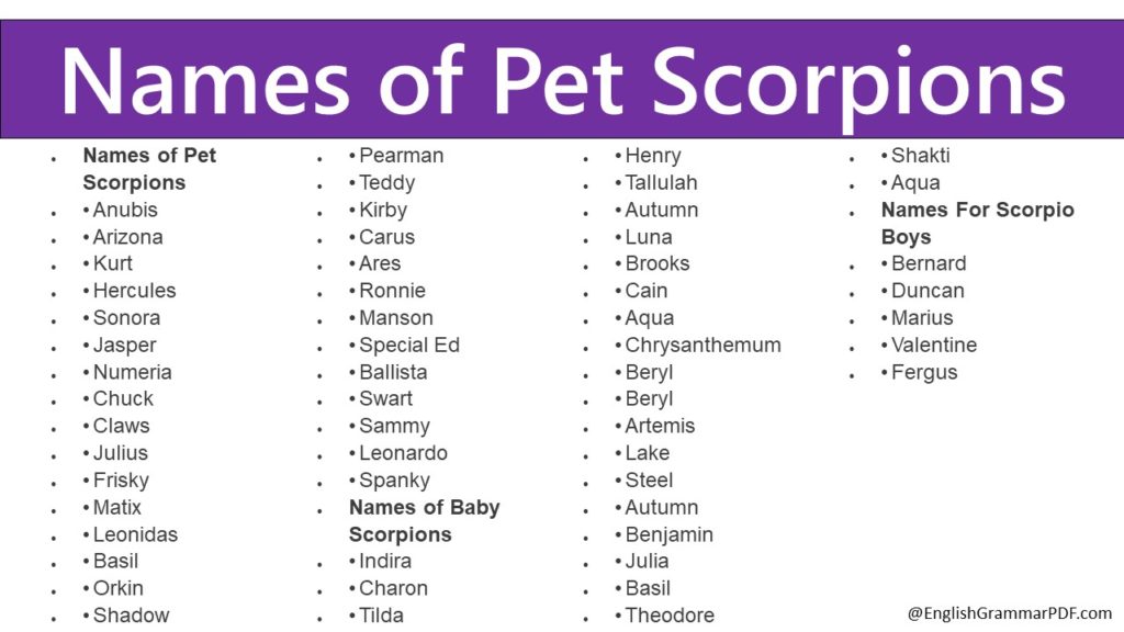 Names of Pet Scorpions