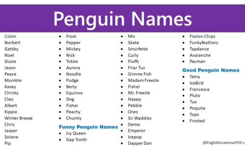 340+ Penguin Names (Cute, Funny, Good, and Famous Names)