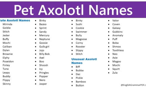 400+ Cool, Cute, And Best Pet Axolotl Names