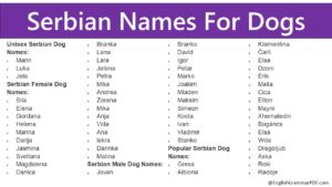 Serbian Names For Dogs