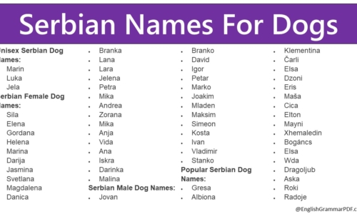 Serbian Names For Dogs | 80+ Serbian Dog Names.