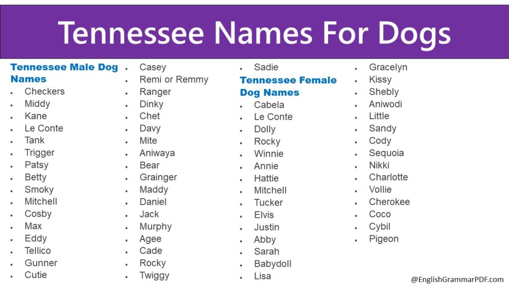 Tennessee Names For Dogs