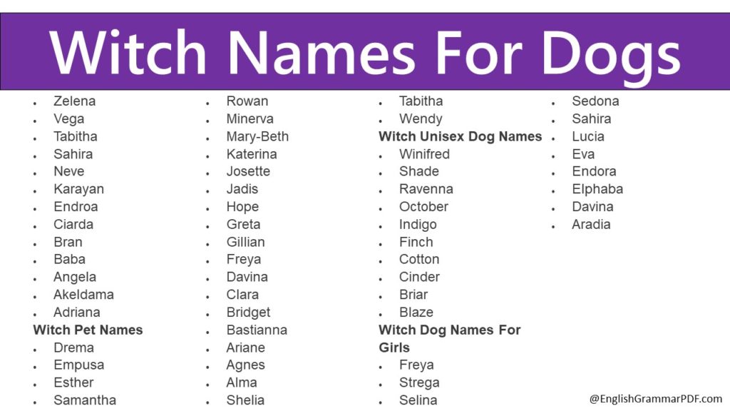 Witch Names For Dogs