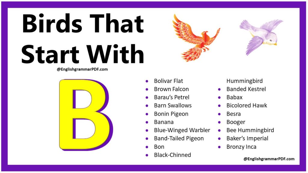 birds that start with b 1